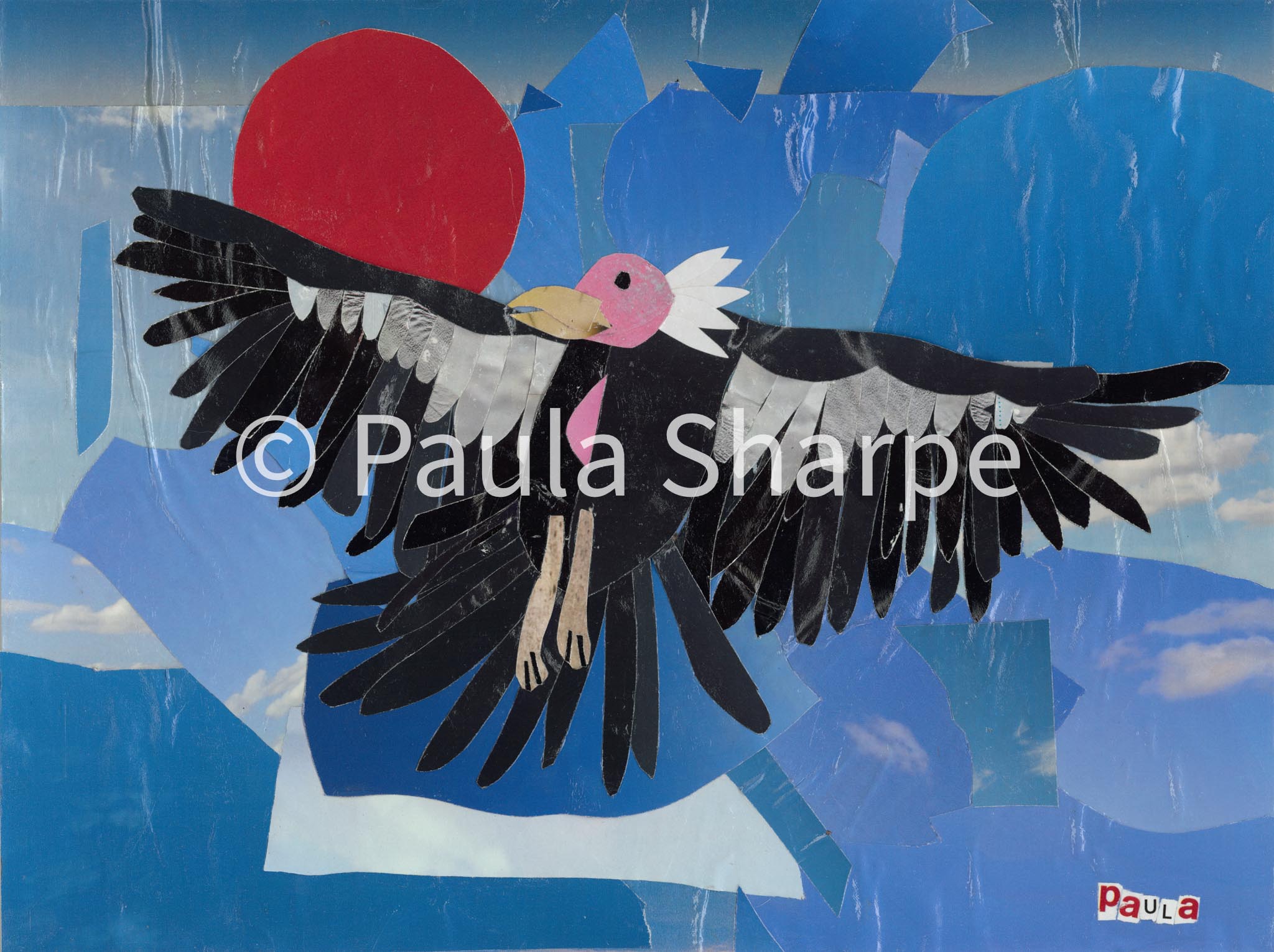 California Condor Collage Digital Download