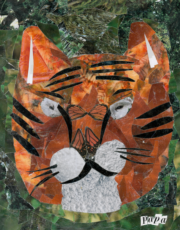 Tiger Collage Laminate Sticker