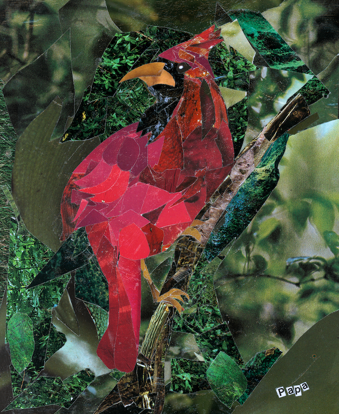 Cardinal Collage Laminate Sticker